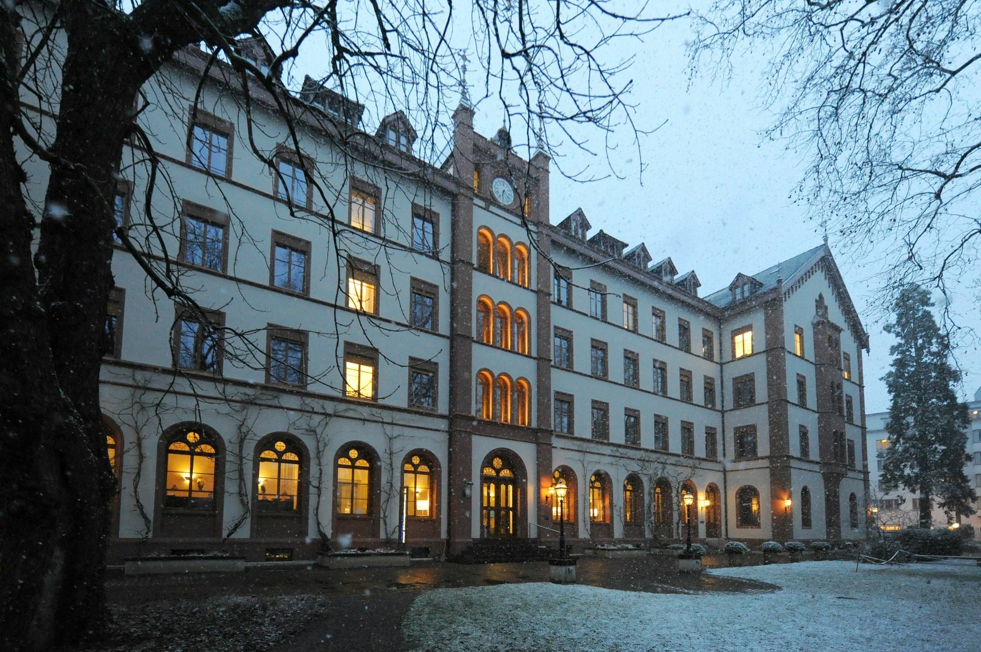 Odelya Hotel & Naturgarten Basel City Exterior photo